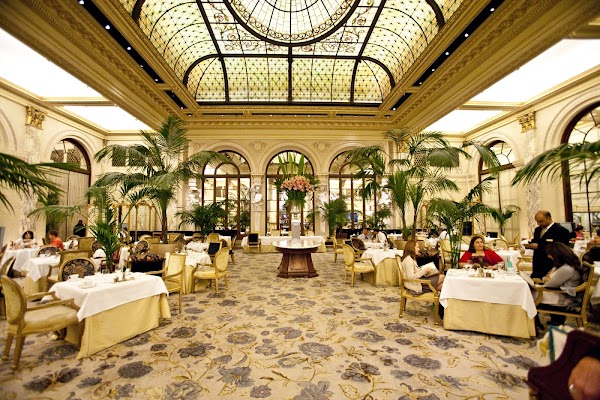 The Palm Court